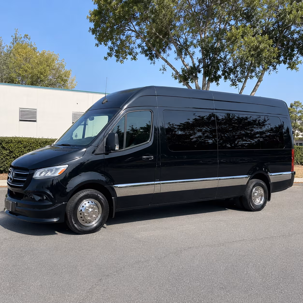 Sprinter Van