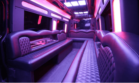Long Beach 14 Passenger Sprinter Bus Interior